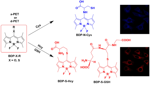 //xingaipian.org/__local/8/6E/D7/1D60BC7CD5B5638558E3CBC7F2B_FFD6958F_10F57.png