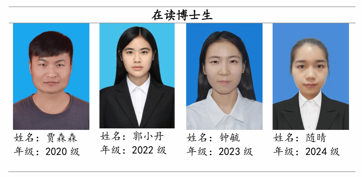 性爱片